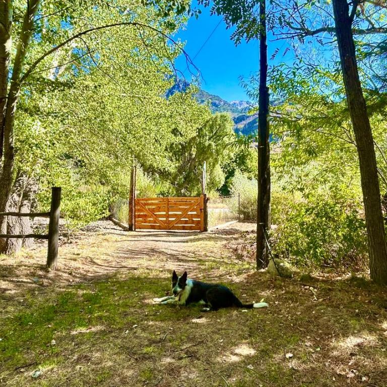 Chacra CheSuiza - Chalet de 2 dormitorios - 20