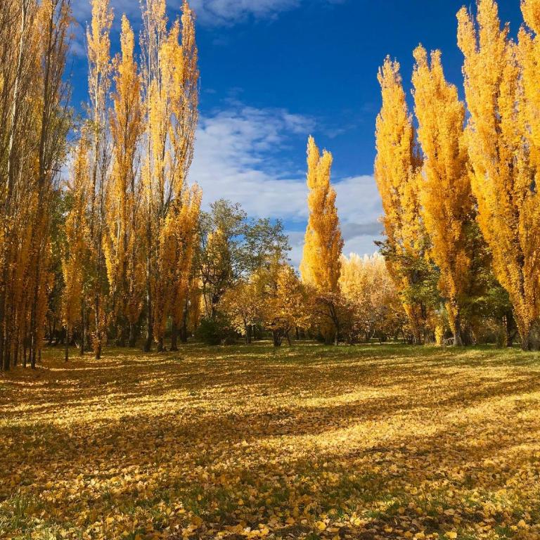 Chacra CheSuiza - Chalet de 2 dormitorios - 26