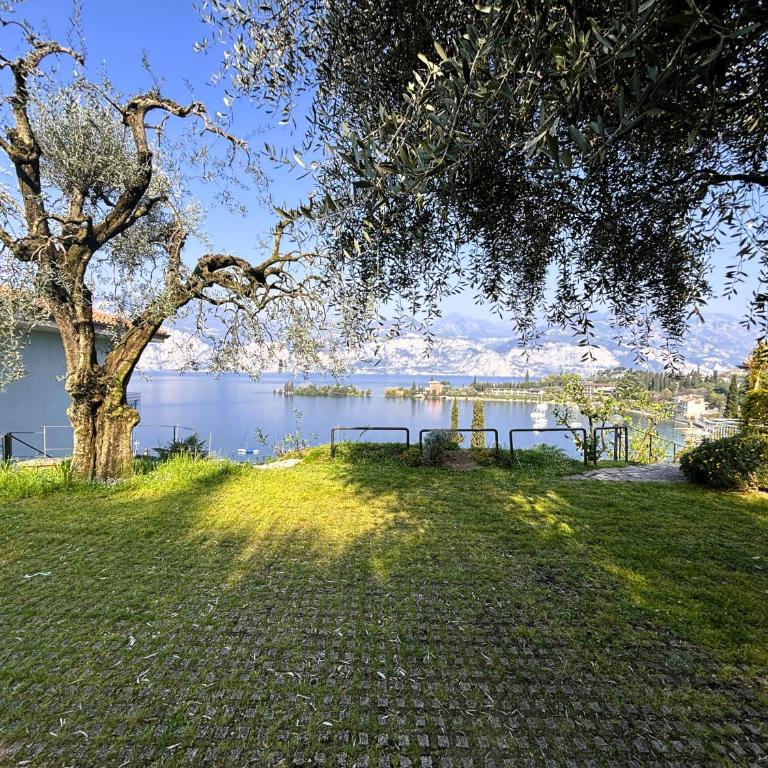 Appartamenti Belvedere - Appartamento con 1 Camera da Letto - 19