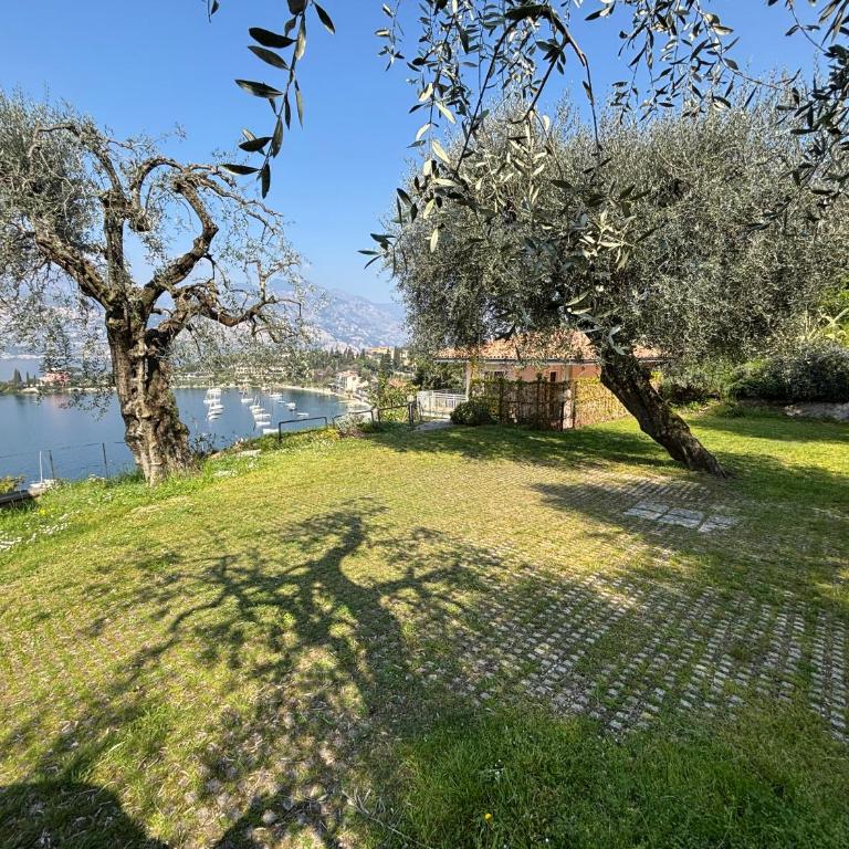 Appartamenti Belvedere - Appartamento con 1 Camera da Letto - 22
