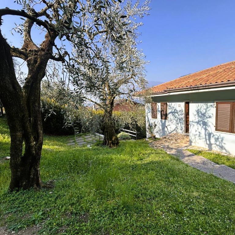 Appartamenti Belvedere - Appartamento con 1 Camera da Letto - 25