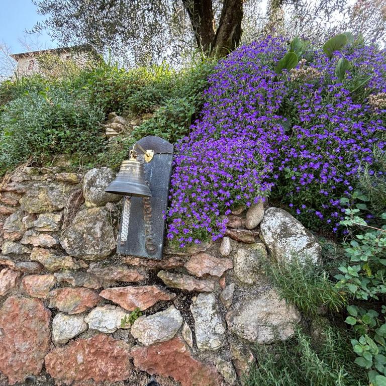 Appartamenti Belvedere - Appartamento con 1 Camera da Letto - 26