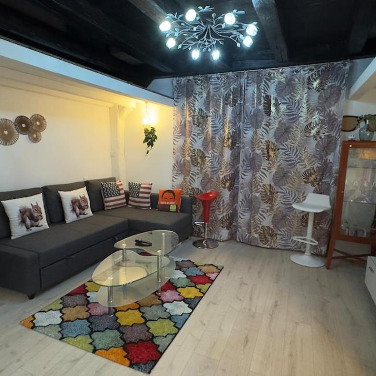 Cosy loft au coeur de Nantes centre ville - One-Bedroom Apartment - 1