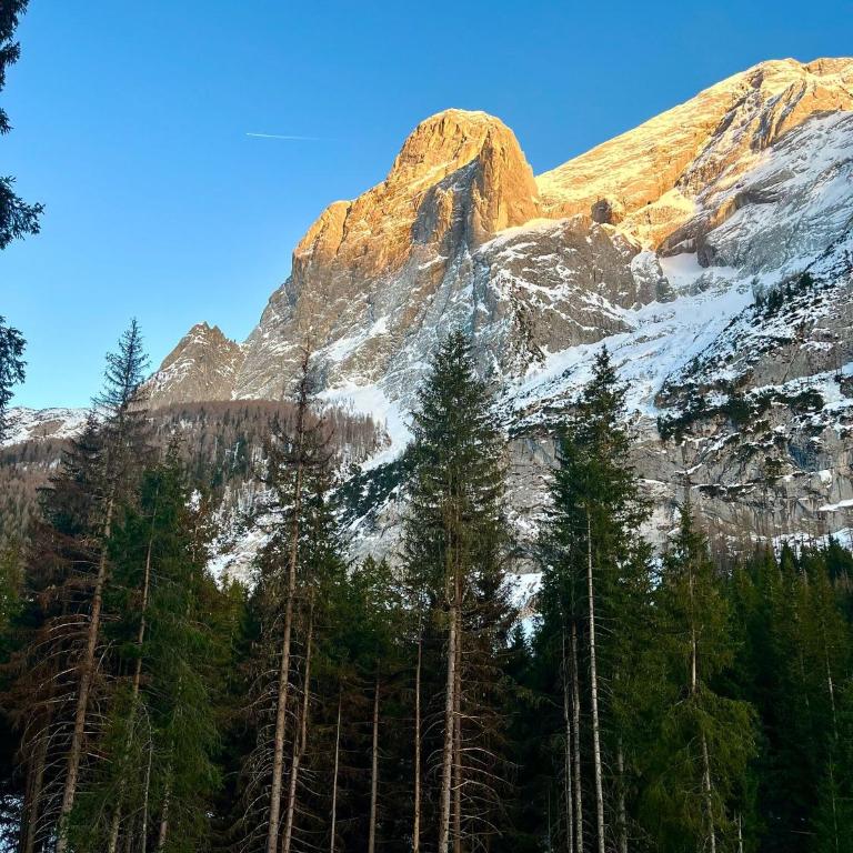 Casa di Charme sul Civetta Dolomiti - Appartamento con 1 Camera da Letto e Vista Fiume - 55