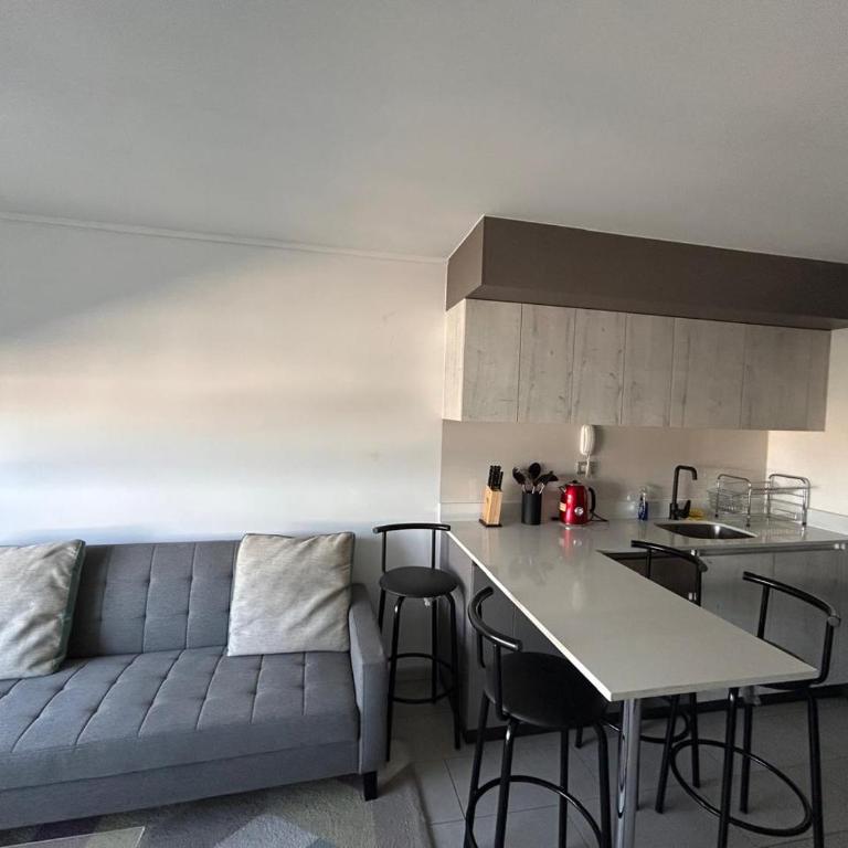 Departamento amoblado central - Apartamento de 1 dormitorio - 3