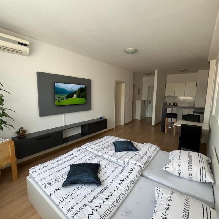 Apartmani Tron - Apartman sa 1 Spavaćom Sobom - 2