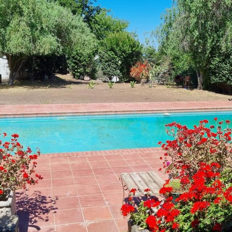 Bugambilia loft, connect with nature - Apartamento de 2 dormitorios - 7