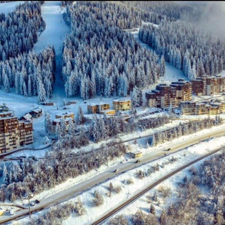 "Montagne Station Prapoutel" Vue Panoramique - Appartement 1 Chambre - 23