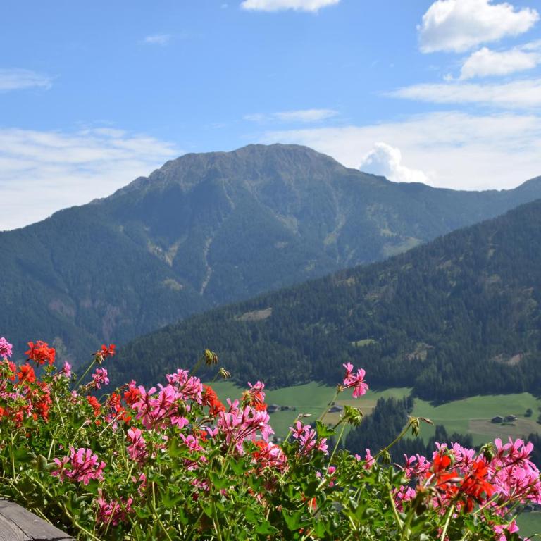 Ortlerhof im Ultental - Urlaub auf dem Bauernhof - Appartamento con 2 Camere da Letto e Balcone - 5
