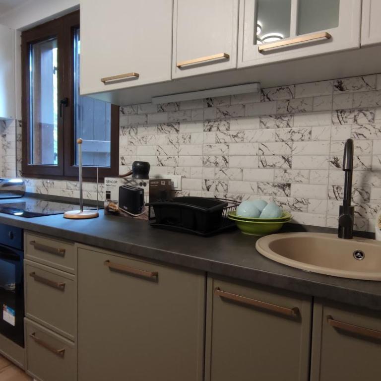 Vila Limun - Apartman s 1 Spavaćom Sobom i Terasom - 5