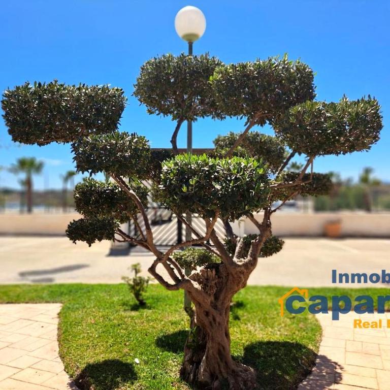 Bajo tres habitaciones Don Julián - Vera Playa - Apartamento de 3 dormitorios - 22