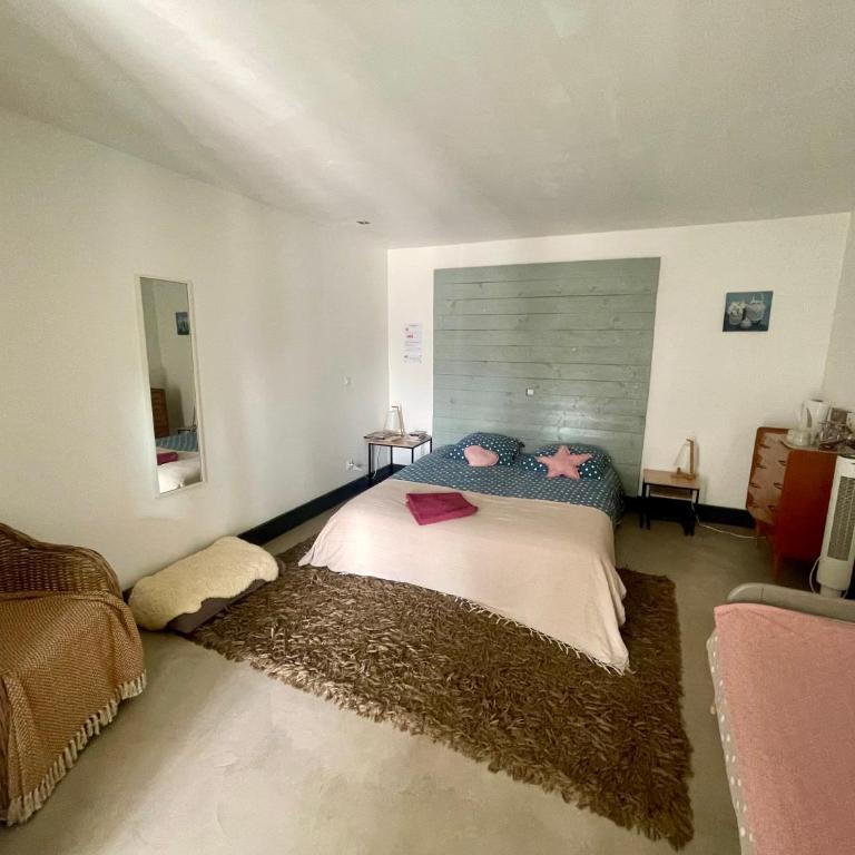 Le Mazet Chambre d'Hôtes - Camera Familiare con Doccia - 8