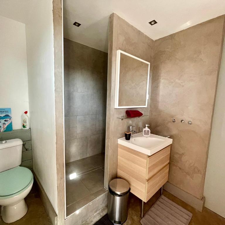 Le Mazet Chambre d'Hôtes - Camera Familiare con Doccia - 5
