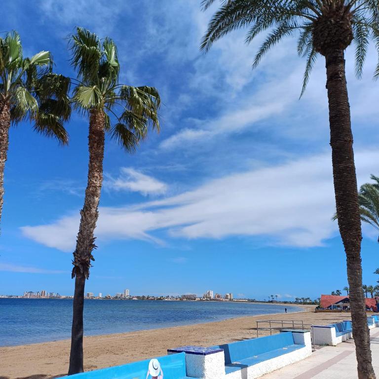 Apartamento en Playa Honda - La Manga - Apartamento de 2 dormitorios - 12