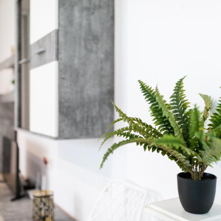 Céntrico apartamento en Granada - One-Bedroom Apartment - 16