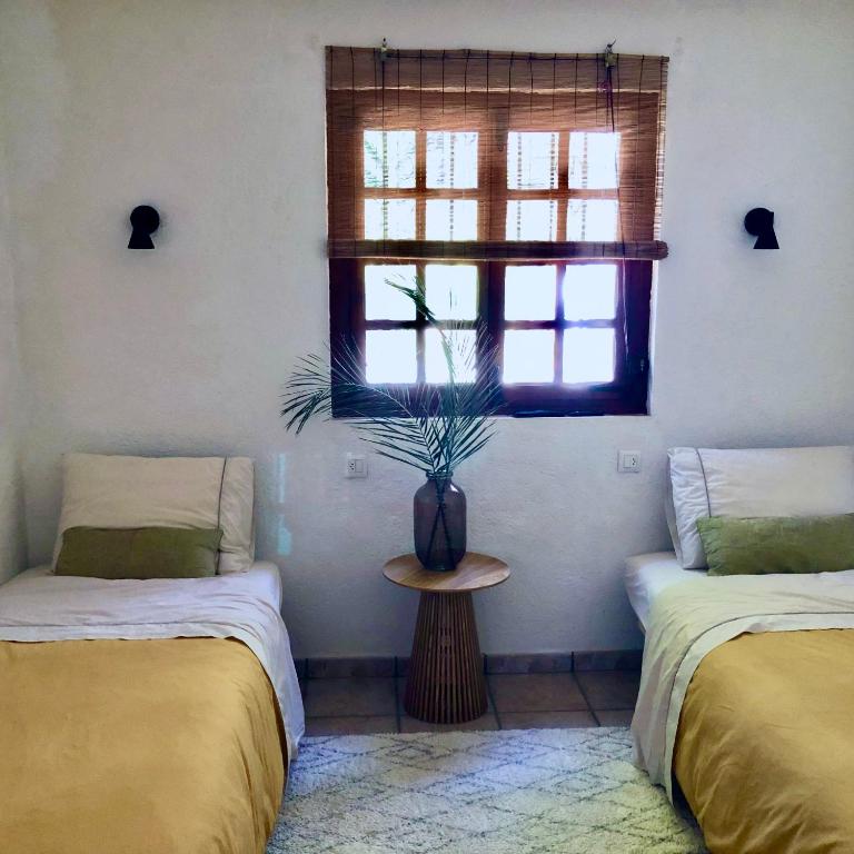Villa Augusta on the Montgo near Javea - Villa Deluxe - 14
