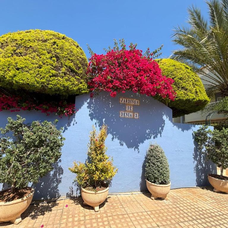 181 Jardines de Denia - Apartamento con terraza - 30