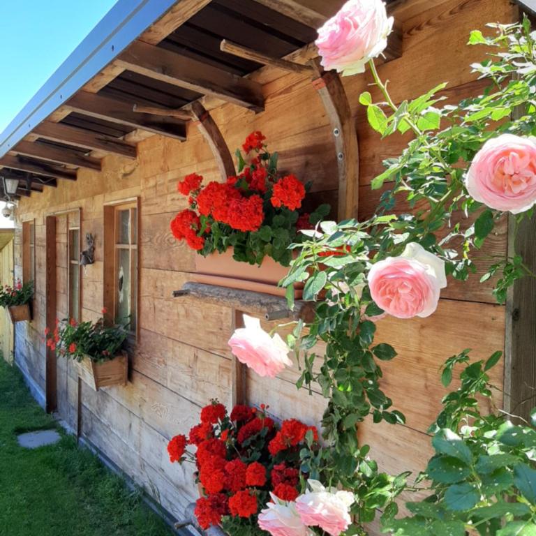 Appartamento per vacanze "IL GELSO" - Appartamento con 3 Camere da Letto - 4