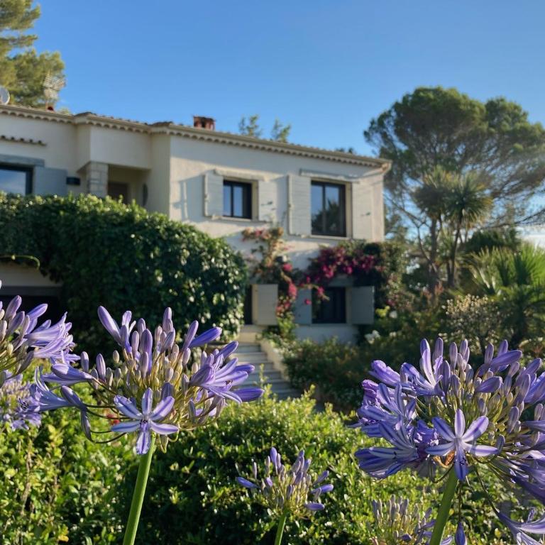 Enjoy Mougins Villa - Villa - 1
