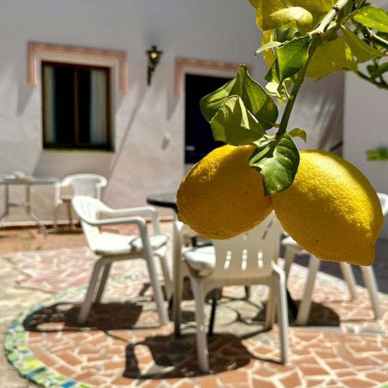 Villa LaSueca Nerja - Villa con piscina privada - 48