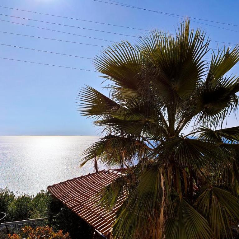 Talia apartments & pool - One-Bedroom Apartment with Balcony and Sea View - 4