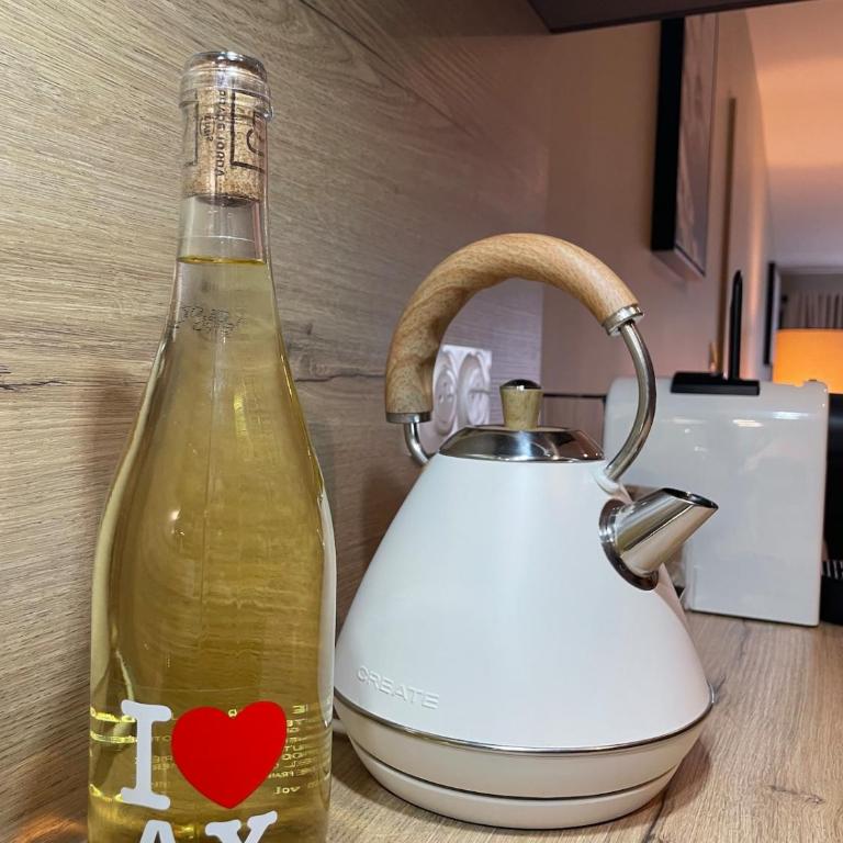 COSY SPACIEUX 6 pers Ax Thermes Centre Parking - Appartement - 24