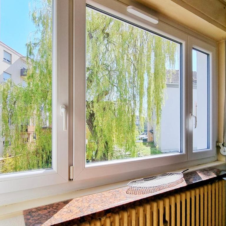 L'Escapade Colmarienne - Apartment mit 1 Schlafzimmer - 12