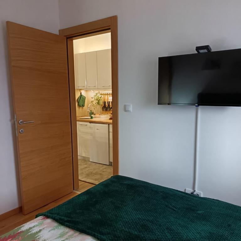 Golden clover 33 - One-Bedroom Apartment - 10