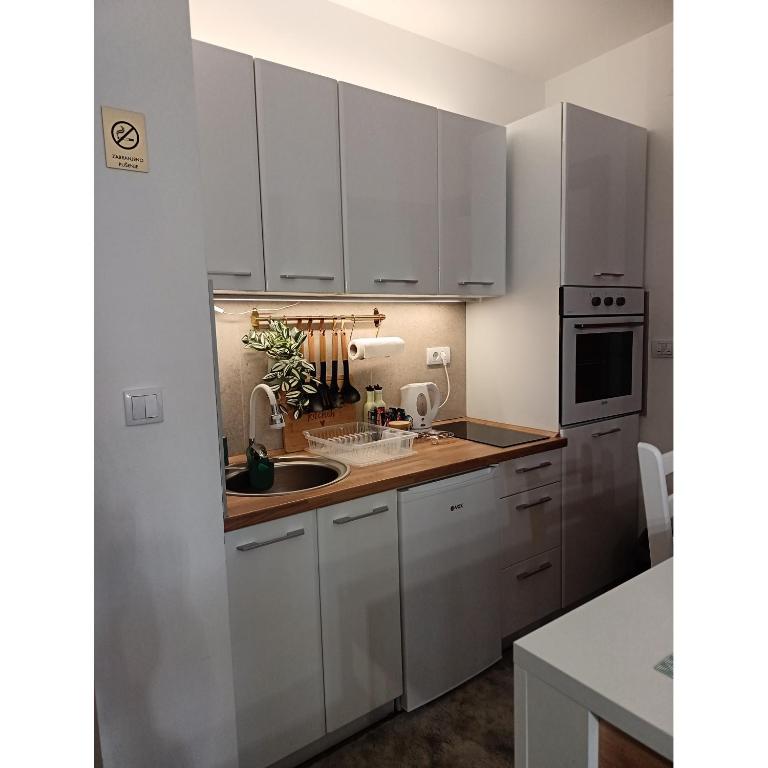 Golden clover 33 - One-Bedroom Apartment - 15