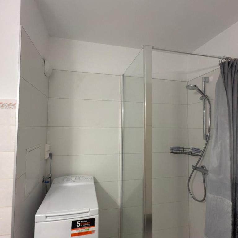 Large European Parliament Studio - Apartamento de 1 dormitorio - 10
