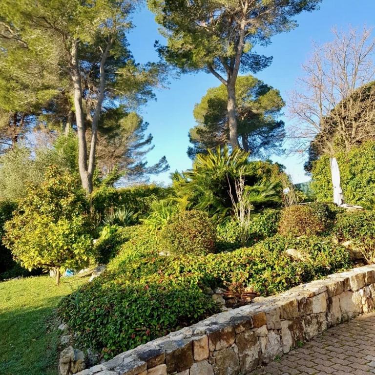 Enjoy Mougins Villa - Villa - 10
