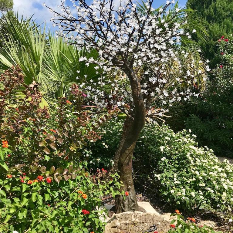 Enjoy Mougins Villa - Villa - 11