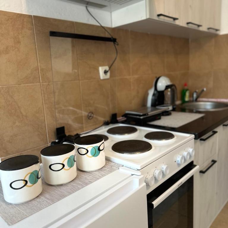 Apartments Tijana - Apartman sa 1 Spavaćom Sobom - 19