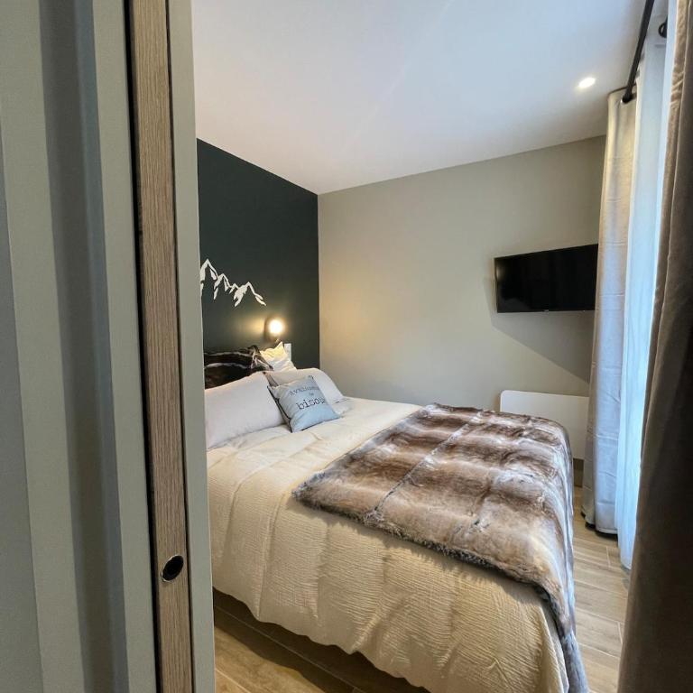 GRAND COSY 10-12 pers Ax Thermes Centre Terrasse Parking - Appartement - 20