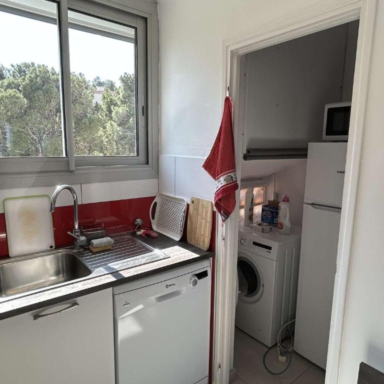 Appart 2 pièces 4 couchages BANYULS SUR MER BN100-C432 - Apartment mit 1 Schlafzimmer und Meerblick - 9