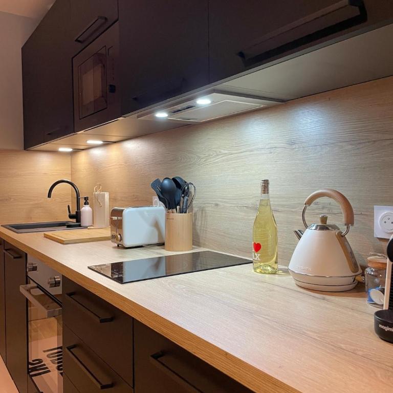 GRAND COSY 10-12 pers Ax Thermes Centre Terrasse Parking - Appartement - 29