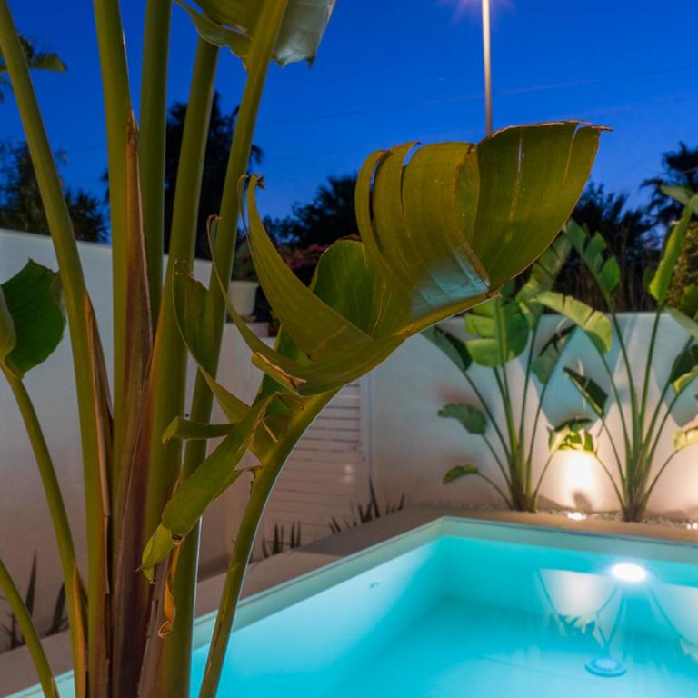 Villa delle Palme con piscina privata - Villa - 33