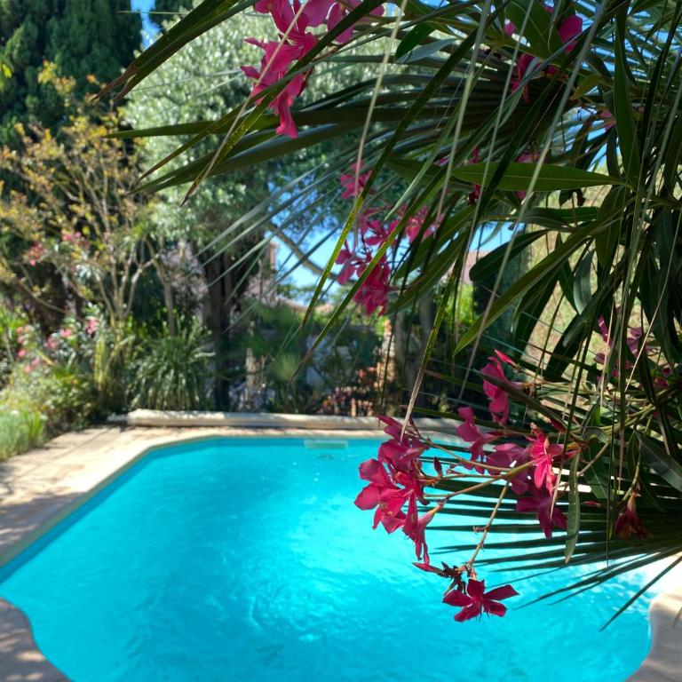 V0544 - Vias Plage - 85m2 villa avec jardin, piscine privé dans résidence - Villa 3 Chambres - 1