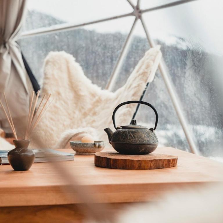 DOMO en Ushuaia Glamping - Apartamento de 1 dormitorio con terraza - 16