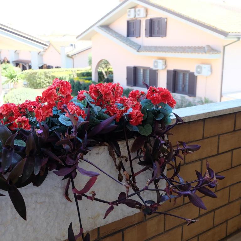Attico Spazio e Panorama - Fiumicino Airport - Family Two-Bedroom Apartment with View - 33