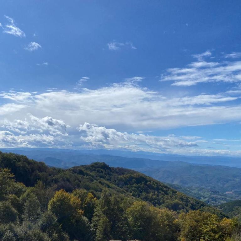 Magia Vido Apartment-President Kop A109 - Apartment with View - 38