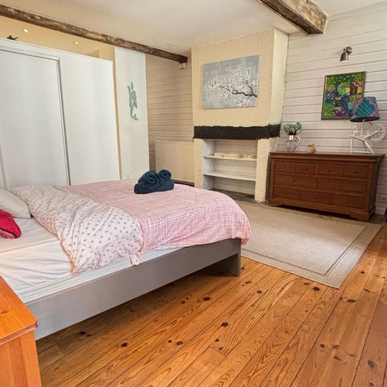 Cosy Eglantine- T3 - Hyper centre & spacieux avec Parking sous terrain - Appartement 2 Chambres - 12