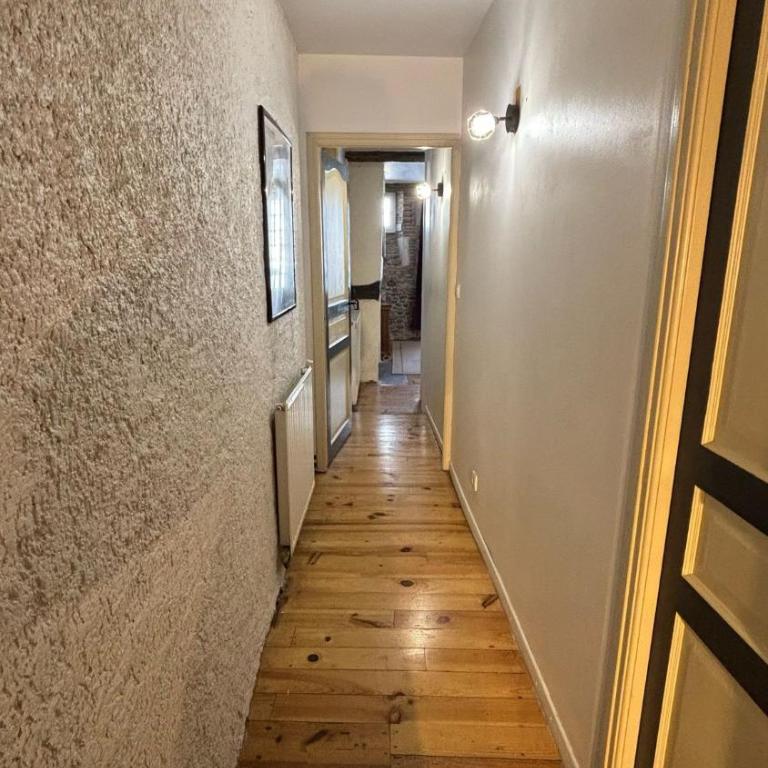 Cosy Eglantine- T3 - Hyper centre & spacieux avec Parking sous terrain - Appartement 2 Chambres - 21