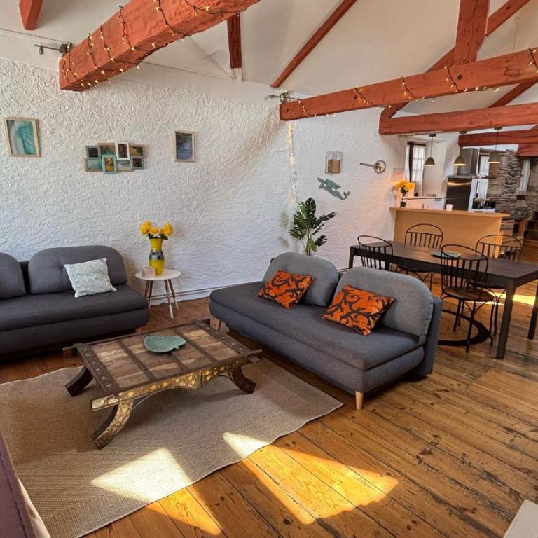 Cosy Eglantine- T3 - Hyper centre & spacieux avec Parking sous terrain - Appartement 2 Chambres - 17