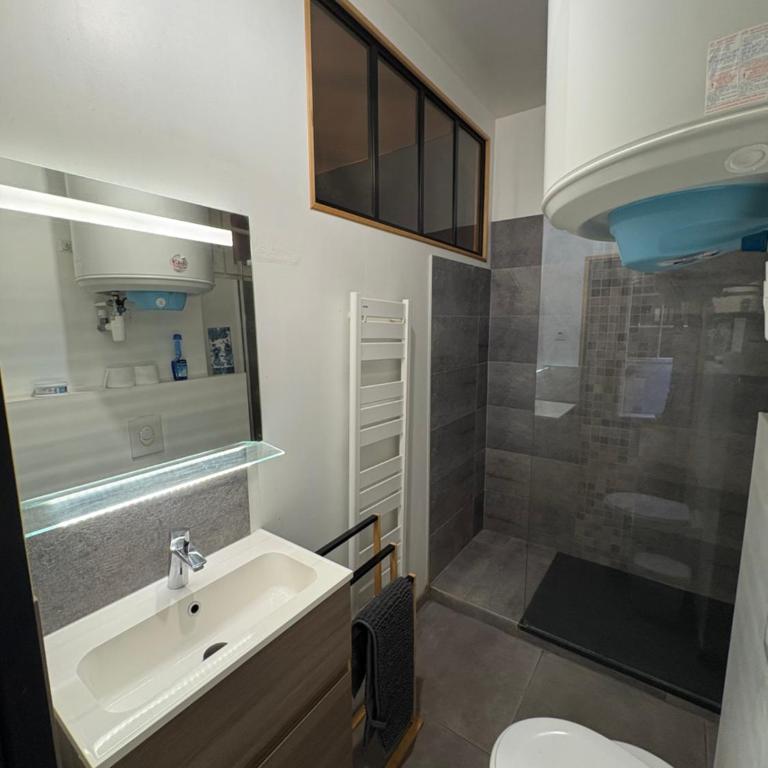 Charmant T2 dans Saint Malo intra-muros - Appartamento con 1 Camera da Letto - 8