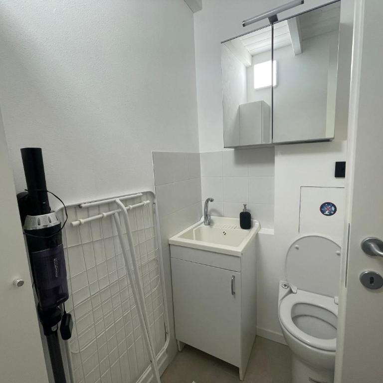 Sant Ambroeus Garden Apartment - Appartamento con 2 Camere da Letto - 20