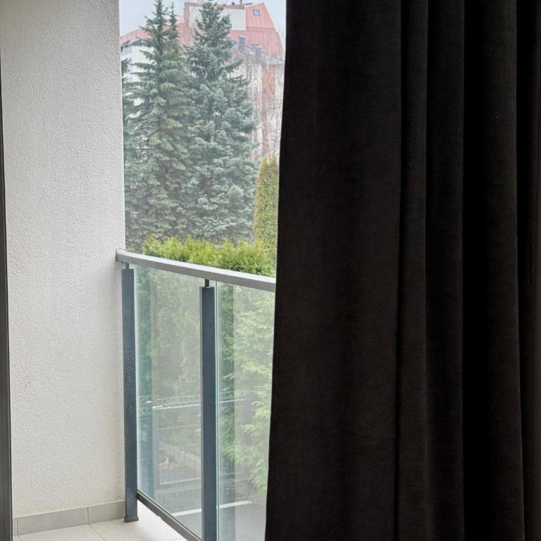 Z lux apartments - One-Bedroom Apartment with Balcony - 7