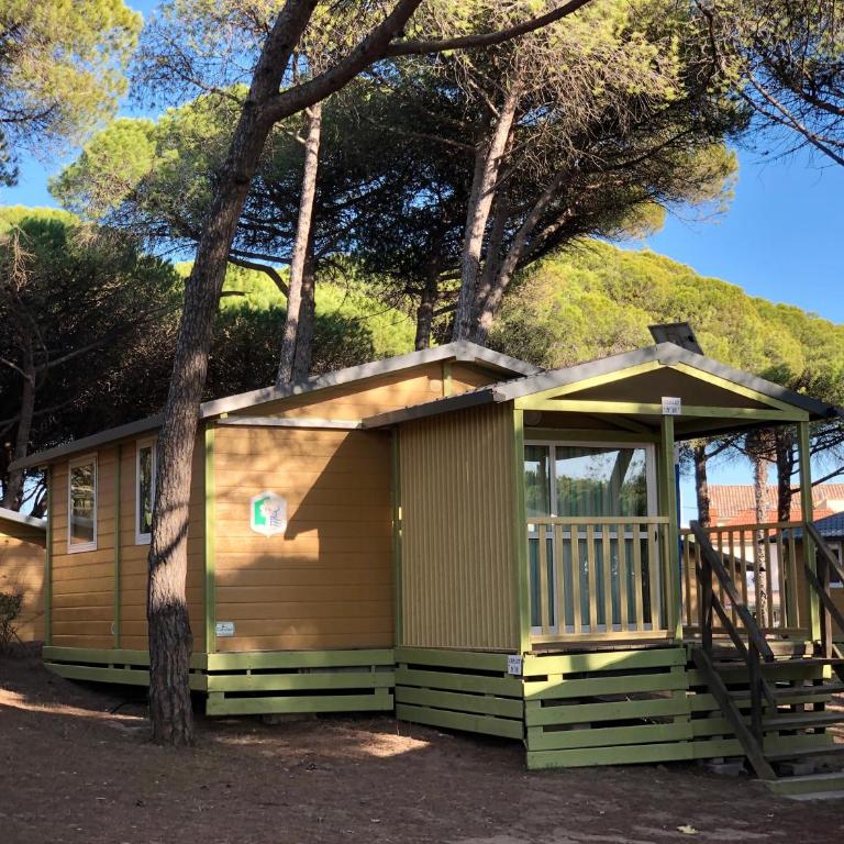 Camping la Tamarissière - Chalet Classique - 1