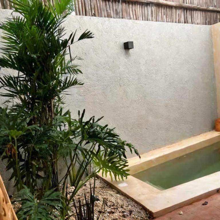 Xaana Private Pool 2 bed wifi 300 Mbps Rooftop - Two-Bedroom Apartment - 13