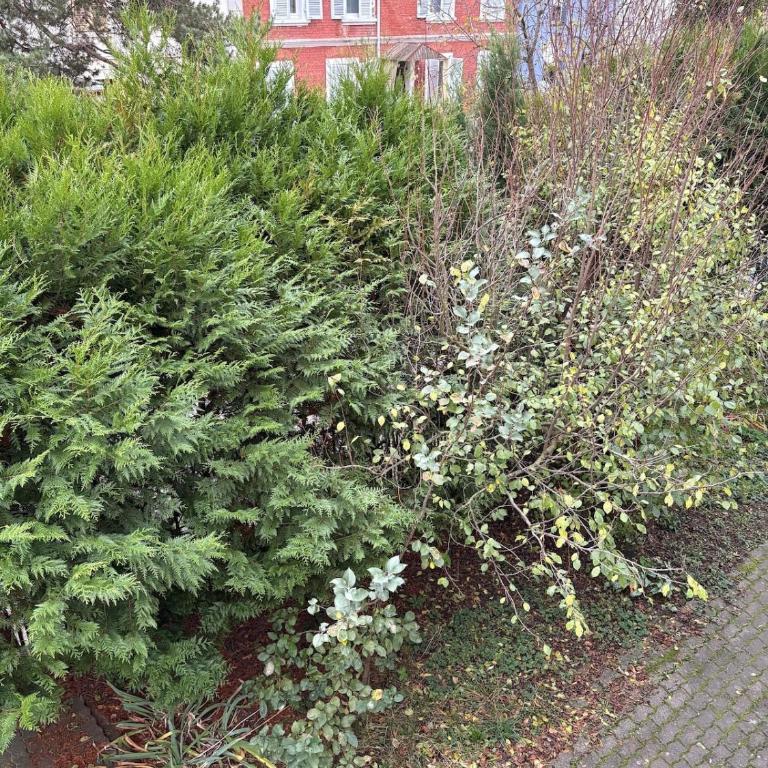 Le Nid de Louise, studio Mulhouse avec terrasse - Apartamento de 1 dormitorio - 11